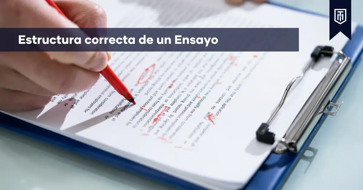 Estructura correcta de un ensayo académico para organizar introducción, desarrollo y conclusión con apoyo de Tesis y Másters.