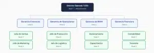 Organigrama vertical de una empresa mediana con CEO, gerencias y jefaturas por áreas.