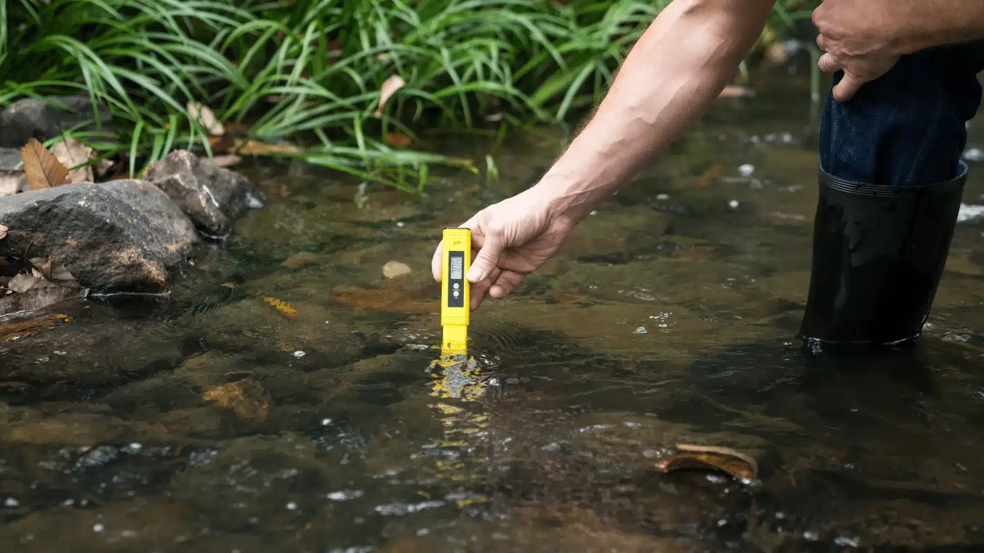 Ingeniería ambiental aplicada a tesis y proyectos académicos sobre análisis de agua, impacto ambiental y sostenibilidad con apoyo de Tesis y Másters.