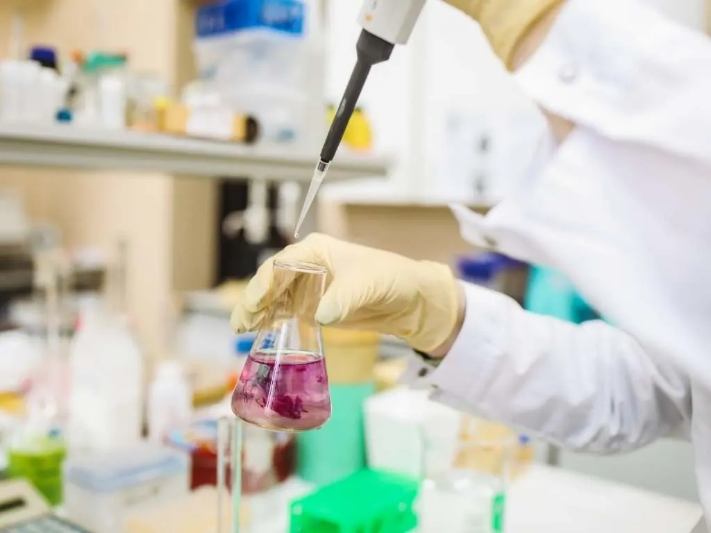 Ramas de la Bioquímica