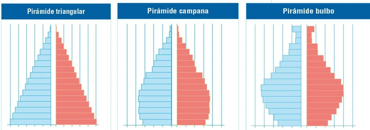 Tipos de pirámides poblacionales